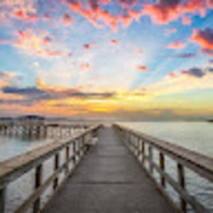 Meet your Posher, Heidi